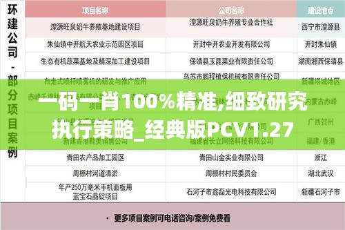 一码一肖100%精准,细致研究执行策略_经典版PCV1.27