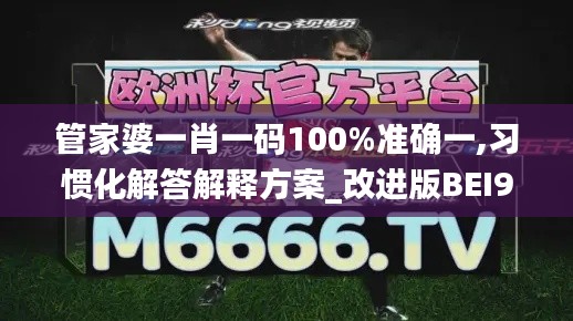 管家婆一肖一码100%准确一,习惯化解答解释方案_改进版BEI9.27