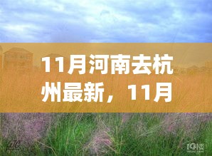 11月河南出发至杭州旅游攻略最新动态