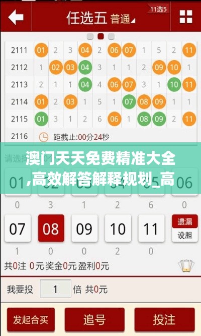 澳门天天免费精准大全,高效解答解释规划_高端体验版GPS9.54