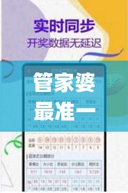 管家婆最准一码一肖,便捷解答方案落实_管理版GBV5.61