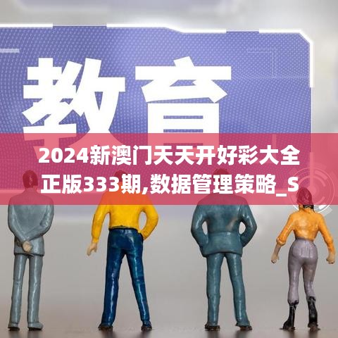 2024新澳门天天开好彩大全正版333期,数据管理策略_SGI6.44.57激励版