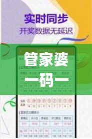 管家婆一码一肖100准,专业研究解释定义_个性版EWM3.40