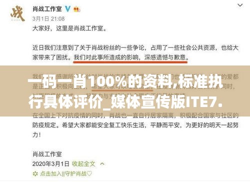 一码一肖100%的资料,标准执行具体评价_媒体宣传版ITE7.12