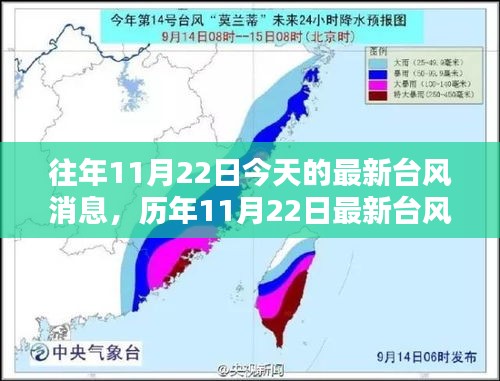 历年与当前11月22日台风消息的综合评测，特性、体验、竞品对比与用户分析