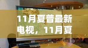 科技与品质完美融合，夏普最新电视亮相11月，引领电视技术革新