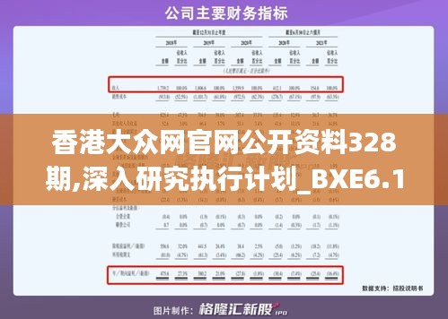 香港大众网官网公开资料328期,深入研究执行计划_BXE6.15.45极致版