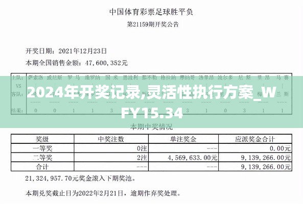 2024年开奖记录,灵活性执行方案_WFY15.34