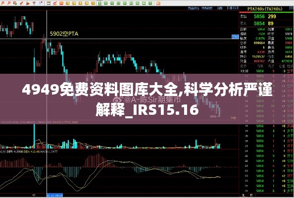 4949免费资料图库大全,科学分析严谨解释_IRS15.16