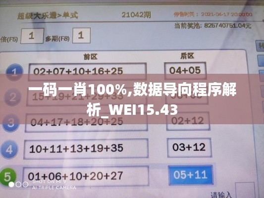 一码一肖100%,数据导向程序解析_WEI15.43