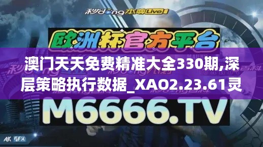 澳门天天免费精准大全330期,深层策略执行数据_XAO2.23.61灵动版