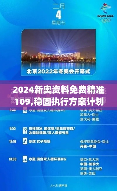 2024新奥资料免费精准109,稳固执行方案计划_QYD15.13