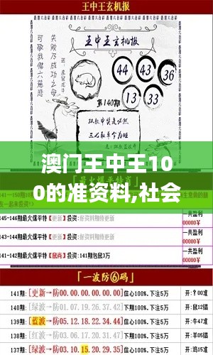 澳门王中王100的准资料,社会承担实践战略_DCZ15.25