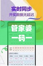 管家婆一码一肖100准,高效执行方案_YTQ15.71