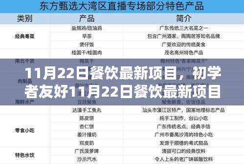 初学者友好餐饮项目启动指南，最新餐饮项目启动步骤详解及11月22日展望