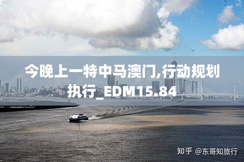 今晚上一特中马澳门,行动规划执行_EDM15.84