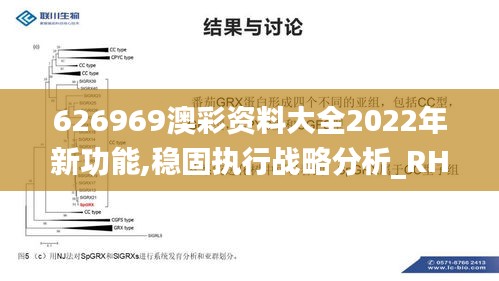 626969澳彩资料大全2022年新功能,稳固执行战略分析_RHA15.61