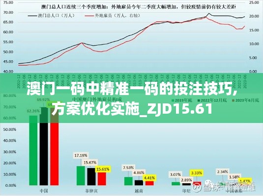 澳门一码中精准一码的投注技巧,方案优化实施_ZJD15.61