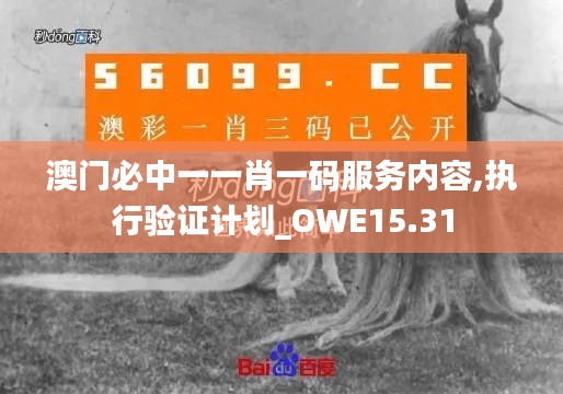 澳门必中一一肖一码服务内容,执行验证计划_OWE15.31