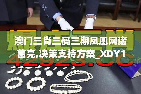 澳门三肖三码三期凤凰网诸葛亮,决策支持方案_XDY15.99