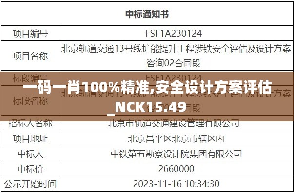 一码一肖100%精准,安全设计方案评估_NCK15.49