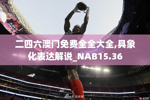 二四六澳门免费全全大全,具象化表达解说_NAB15.36