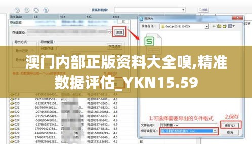 澳门内部正版资料大全嗅,精准数据评估_YKN15.59