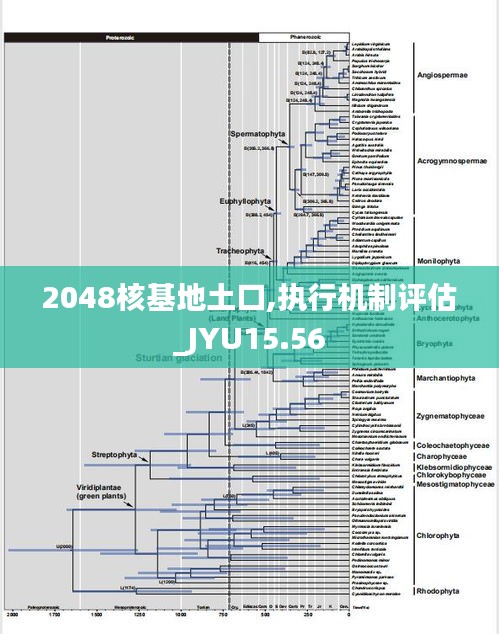 2048核基地土口,执行机制评估_JYU15.56