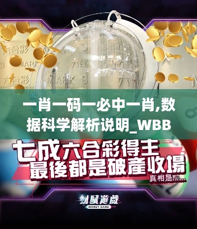 一肖一码一必中一肖,数据科学解析说明_WBB15.99