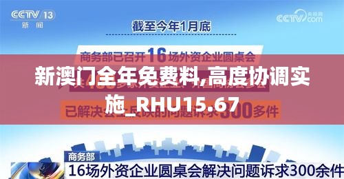 新澳门全年免费料,高度协调实施_RHU15.67