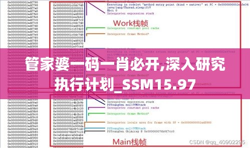 管家婆一码一肖必开,深入研究执行计划_SSM15.97