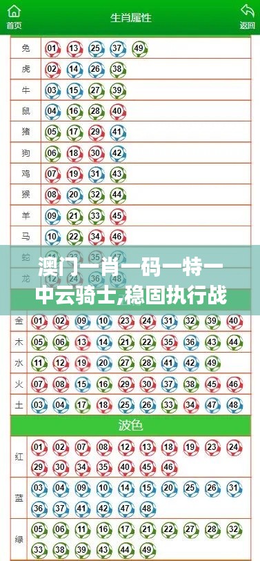 澳门一肖一码一特一中云骑士,稳固执行战略分析_CKR15.78