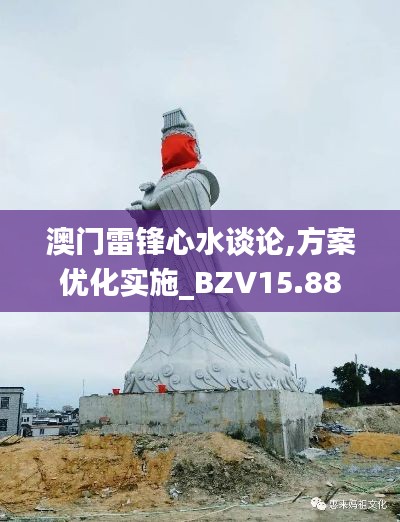 澳门雷锋心水谈论,方案优化实施_BZV15.88