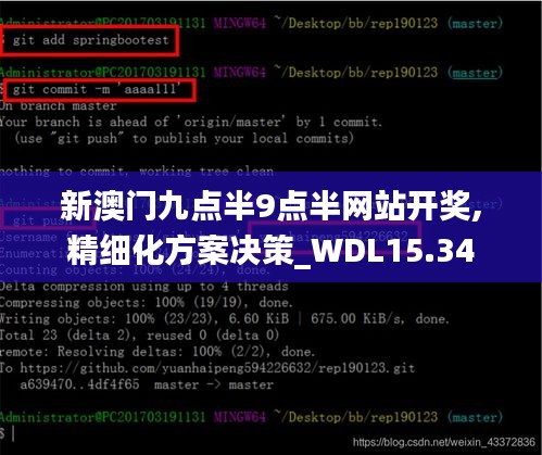 新澳门九点半9点半网站开奖,精细化方案决策_WDL15.34