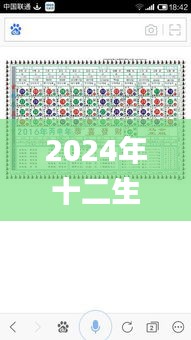 2024年十二生肖49码表,全身心数据指导枕_JSH15.9