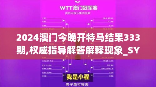 2024澳门今晚开特马结果333期,权威指导解答解释现象_SYI2.68.48灵活版