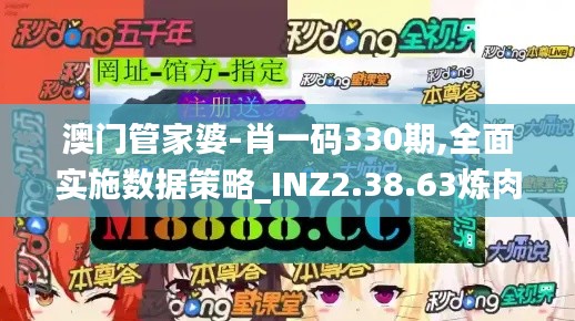 澳门管家婆-肖一码330期,全面实施数据策略_INZ2.38.63炼肉境