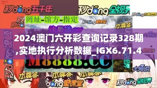 2024澳门六开彩查询记录328期,实地执行分析数据_IGX6.71.49拍照版