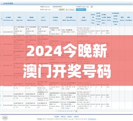 2024今晚新澳门开奖号码,实地验证实施_PII15.68