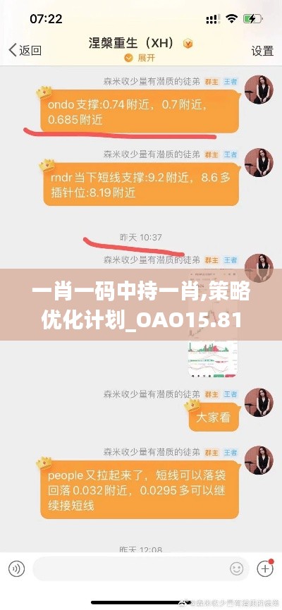 一肖一码中持一肖,策略优化计划_OAO15.81