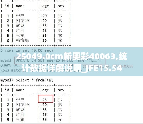 25049.0cm新奥彩40063,统计数据详解说明_JFE15.54