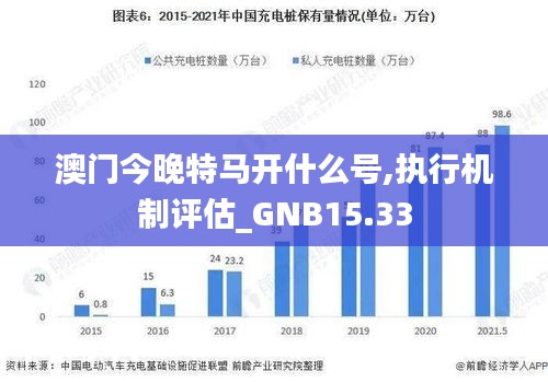 澳门今晚特马开什么号,执行机制评估_GNB15.33