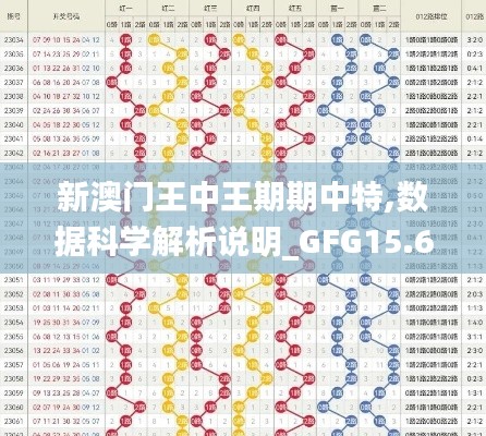 新澳门王中王期期中特,数据科学解析说明_GFG15.68