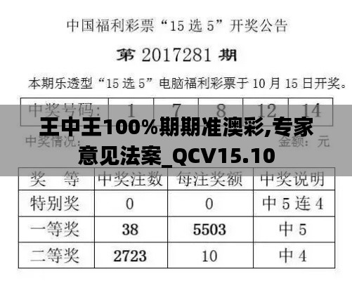 王中王100%期期准澳彩,专家意见法案_QCV15.10