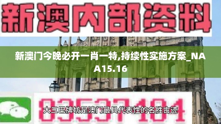 新澳门今晚必开一肖一特,持续性实施方案_NAA15.16