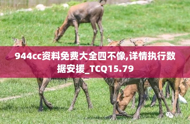 944cc资料免费大全四不像,详情执行数据安援_TCQ15.79