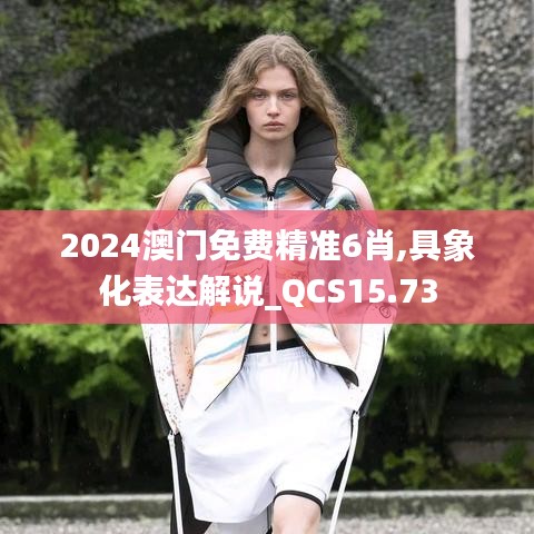 2024澳门免费精准6肖,具象化表达解说_QCS15.73