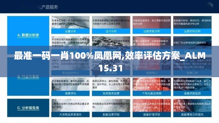 最准一码一肖100%凤凰网,效率评估方案_ALM15.31