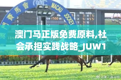 澳门马正版免费原料,社会承担实践战略_JUW15.2