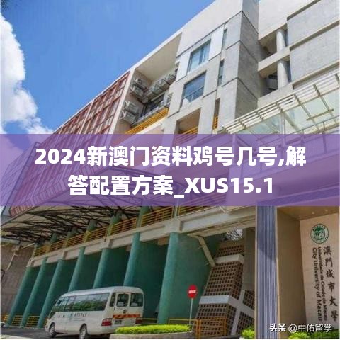 2024新澳门资料鸡号几号,解答配置方案_XUS15.1